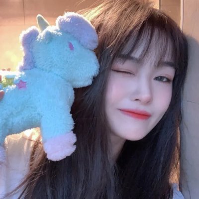摄影师贝尔蒂与海豚零距离